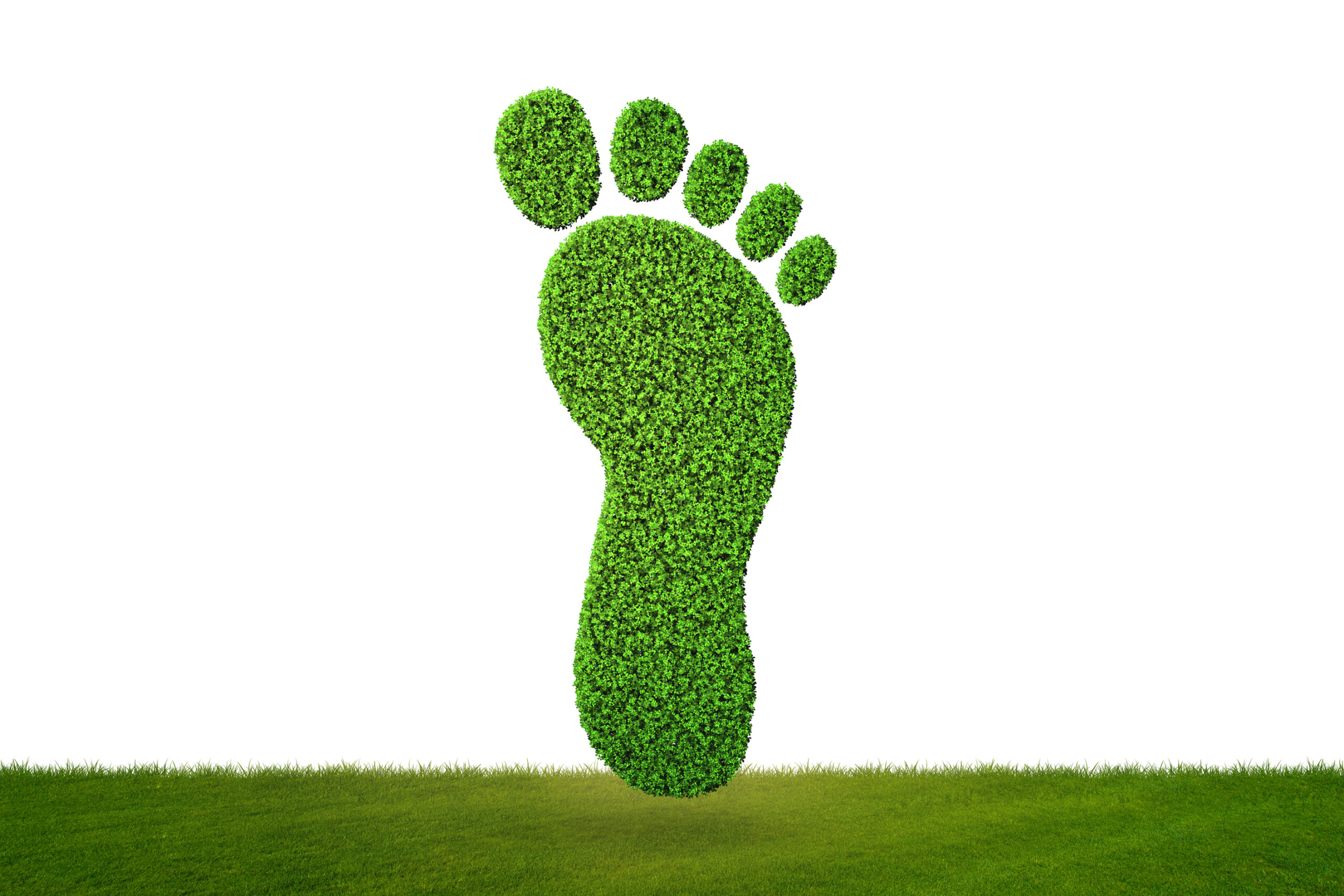 what is carbon footprint